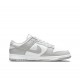 Nike Dunk Low Photon Dust